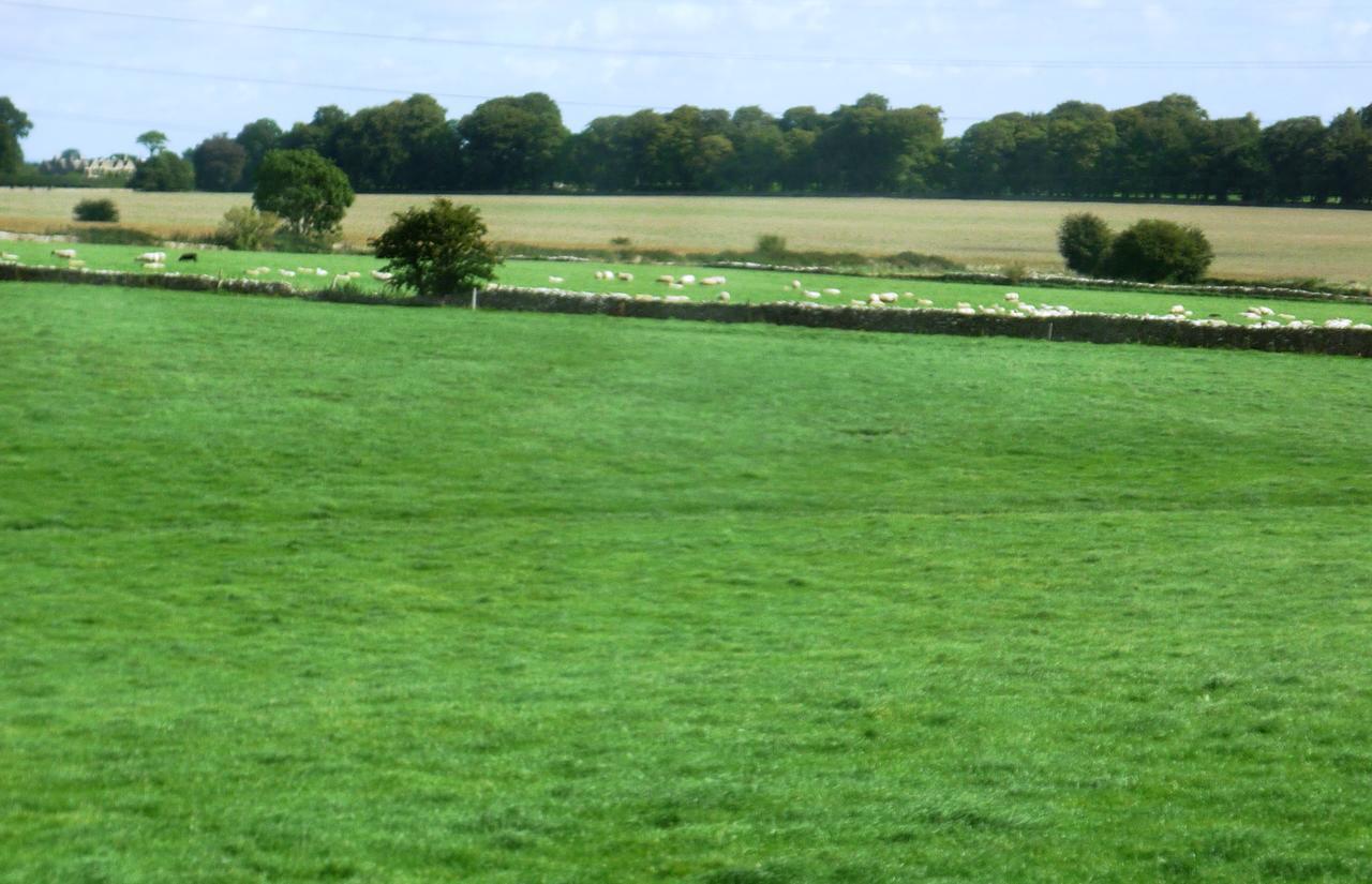 Windylands Bed and Breakfast Chipping Sodbury Exteriör bild